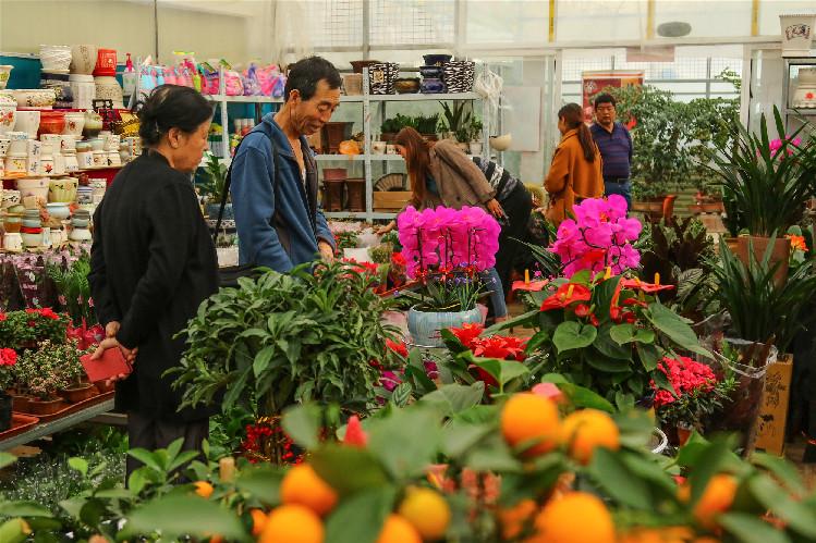 【第一眼】春意濃 花俏俏 你家的春來來了嗎？