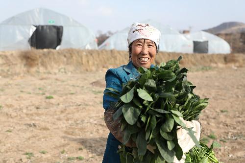 洪河村群眾的心里話：脫貧致富，計(jì)劃得先行