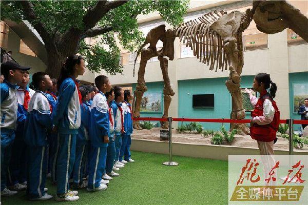 【第一眼】慶陽市博物館開展多項(xiàng)活動(dòng)慶?！?·18國際博物館日”
