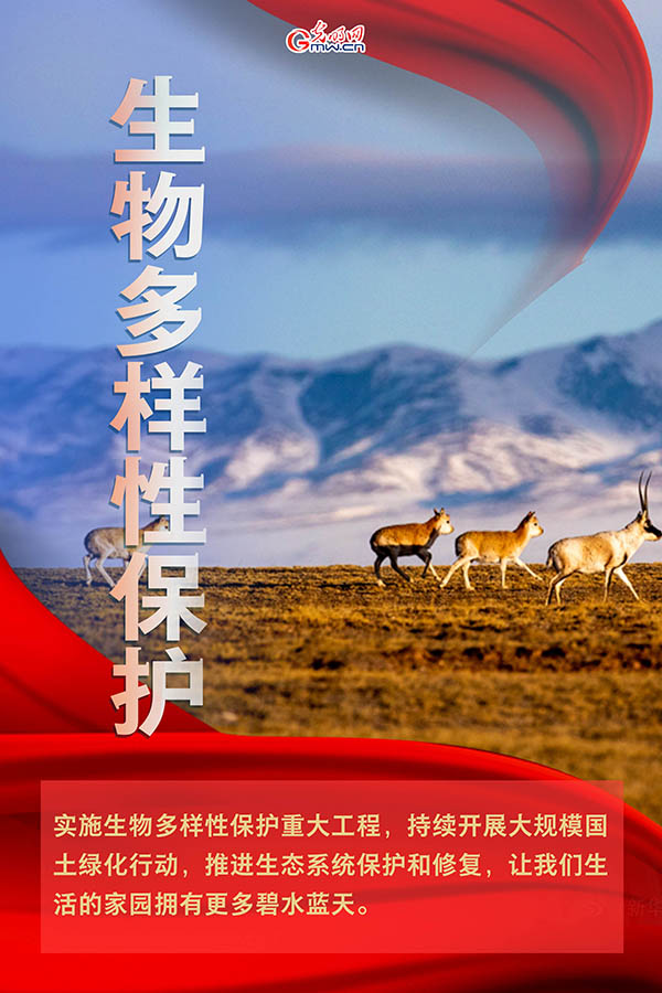 海報| 2021年政府工作報告，提到這些生態(tài)環(huán)保關(guān)鍵詞