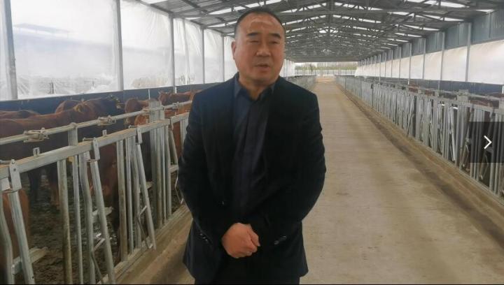 【脫貧攻堅(jiān)我來見證】項(xiàng)祖地：讓“早勝?！逼放谱叱龈拭C  走向全國(guó)