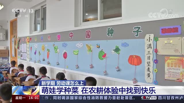 新學(xué)期，勞動課怎么上？央視《新聞直播間》關(guān)注北師大慶陽附校農(nóng)耕體驗(yàn)課