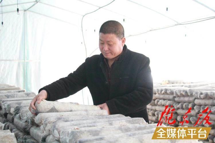 西峰區(qū)后官寨鎮(zhèn)司官寨村食用菌基地，工作人員在整理菌棒。本報記者 南力 攝