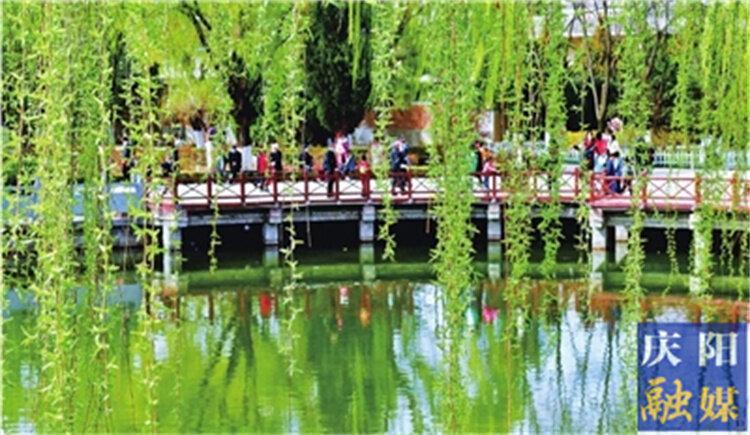 一點(diǎn)慶陽 | 忽然春來（康?。?>

                        <div   id=