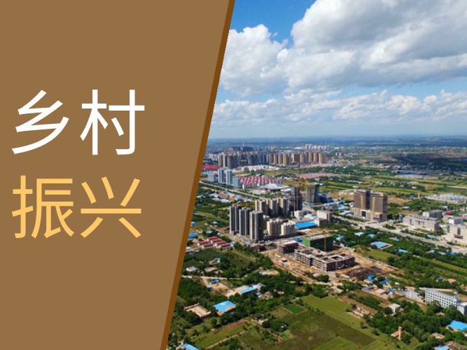 為鄉(xiāng)村振興“輸動能” 為群眾致富“添活力”——環(huán)縣加強電力服務(wù)促進(jìn)鄉(xiāng)村產(chǎn)業(yè)振興紀(jì)實