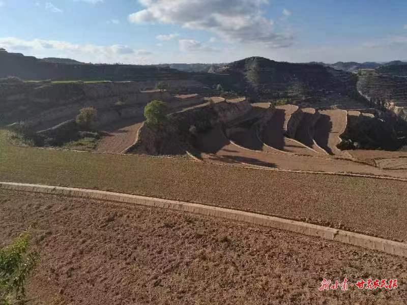 鎮(zhèn)原縣高標準農田夯實藏糧“耕”基