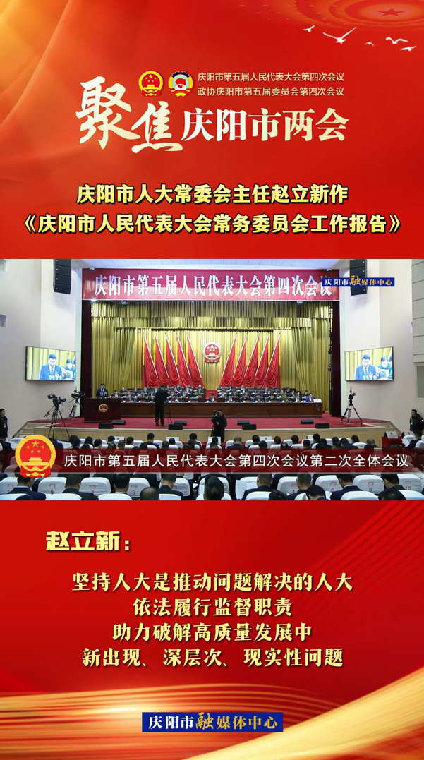 兩會V視(29)丨趙立新：堅持人大是推動問題解決的人大，依法履行監(jiān)督職責(zé)，助力破解高質(zhì)量發(fā)展中新出現(xiàn)、深層次、現(xiàn)實性問題