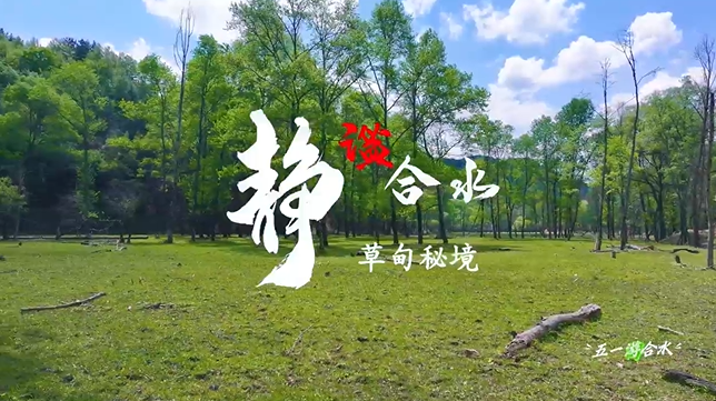 【五一游慶陽】靜謐合水︱合水縣太莪鄉(xiāng)草甸秘境等你來打卡！
