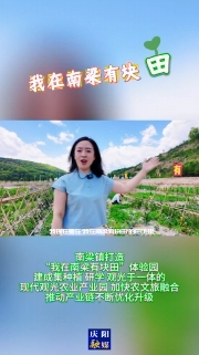南梁鎮(zhèn)打造“我在南梁有塊田”體驗(yàn)園，建成集種植、研學(xué)、觀光于一體的現(xiàn)代觀光農(nóng)業(yè)產(chǎn)業(yè)園，加快農(nóng)文旅融合，推動(dòng)產(chǎn)業(yè)鏈不斷優(yōu)化升級